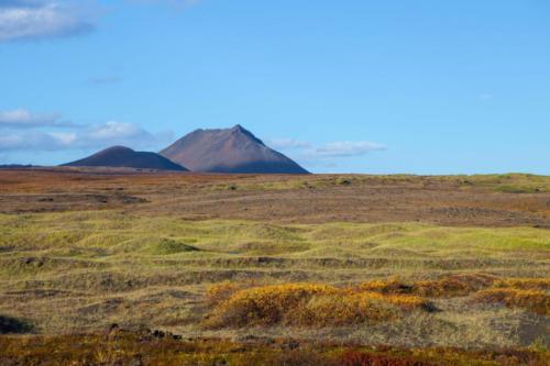 Neues Grün auf Lava Island