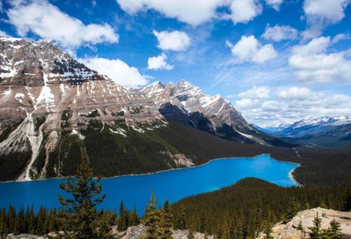 Peyto Lake Kanada