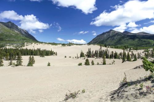 Carcross Dessert Yukon