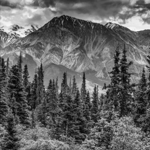 Kluane National Park Yukon